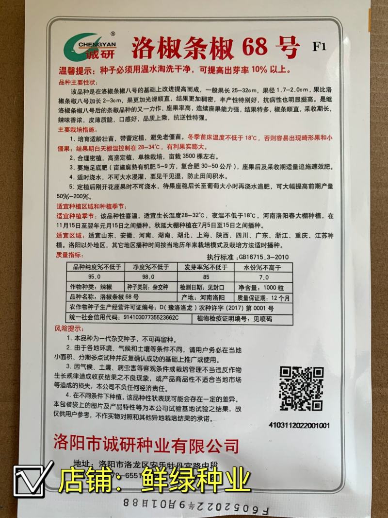 洛椒条椒99号：早熟线椒品种、香辣型结果稠密、光滑顺直
