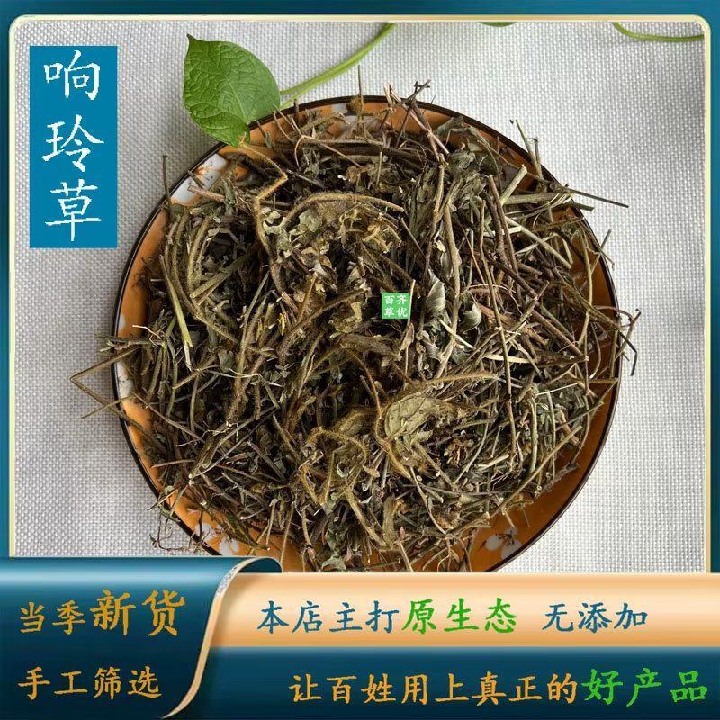 响铃草马响铃肾气草，响铃子，地响铃马铃草、响亮草精选