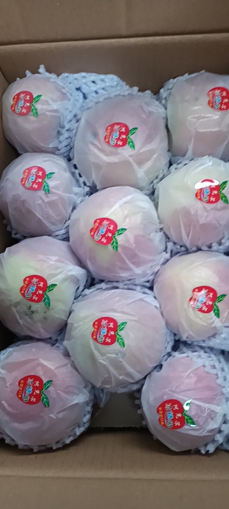 阿克苏冰糖心苹果，产地直发，皮薄肉厚，脆甜汁多，肉质紧密