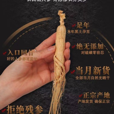 东北特产人参干货品相好