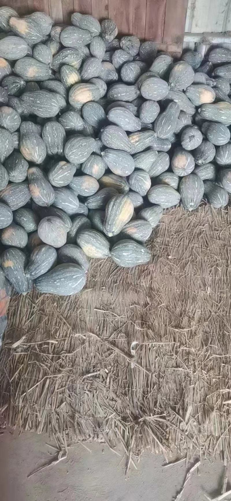 【QQ南瓜】广东产地一手货源.量大从优.欢迎您！