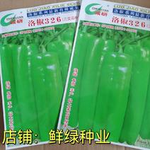 洛椒326：早中熟泡椒品种、丰产色泽浅绿鲜艳漂亮商品性佳