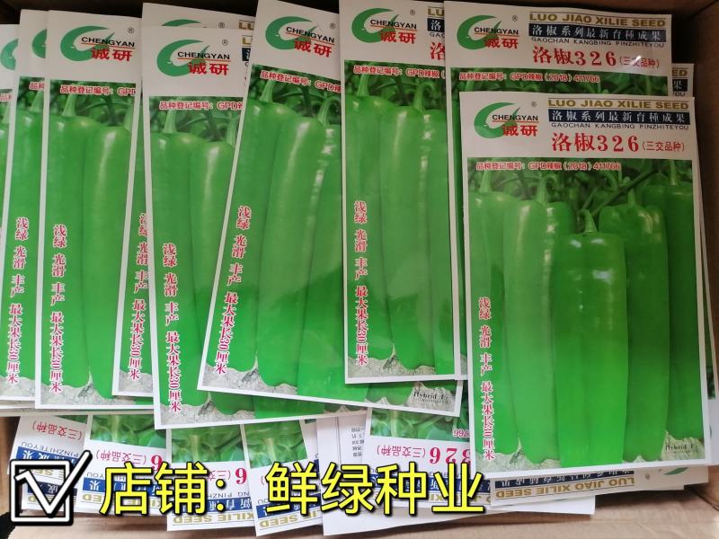 洛椒326：早中熟泡椒品种、丰产色泽浅绿鲜艳漂亮商品性佳