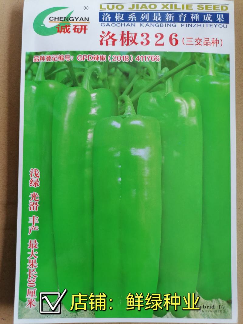 洛椒326：早中熟泡椒品种、丰产色泽浅绿鲜艳漂亮商品性佳