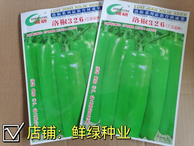 洛椒326：早中熟泡椒品种、丰产色泽浅绿鲜艳漂亮商品性佳