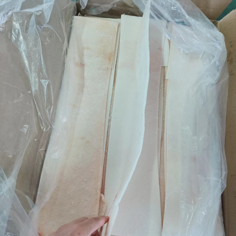 脊皮