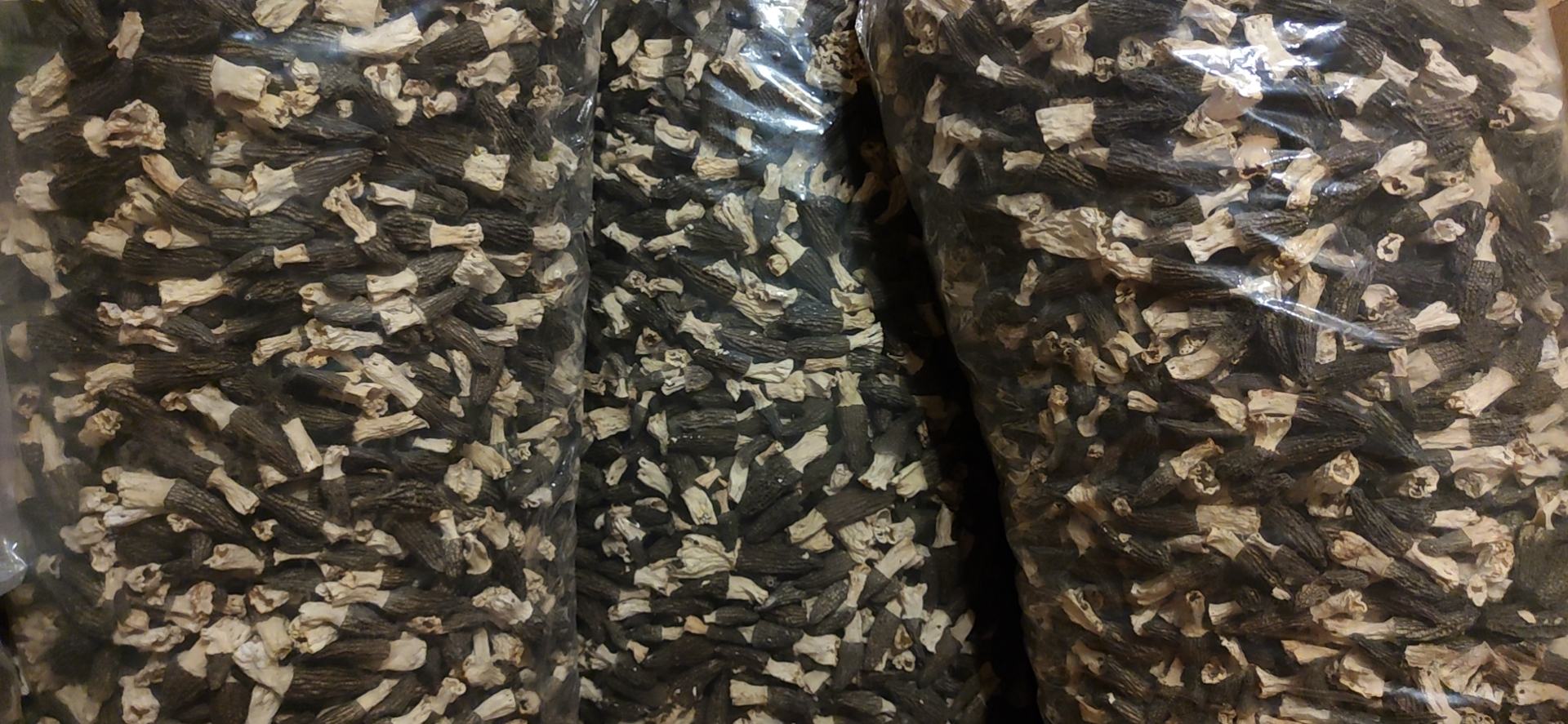 羊肚菌电商直播间场景图