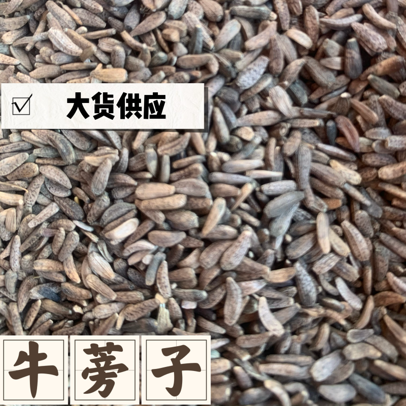 中药材牛子牛蒡子产地一手货源大货供应够含量包检各种零售