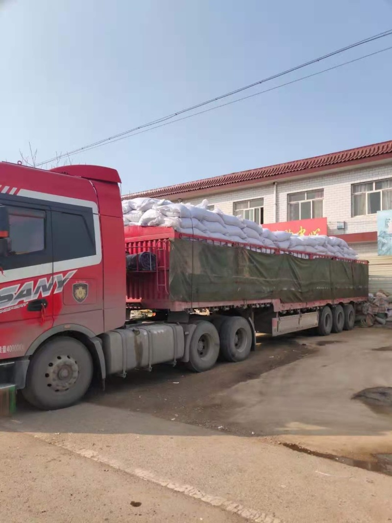 中药材牛子牛蒡子产地一手货源大货供应够含量包检各种零售