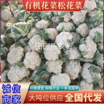 《精选》有机花菜松花菜大量供应一手货源代发全国