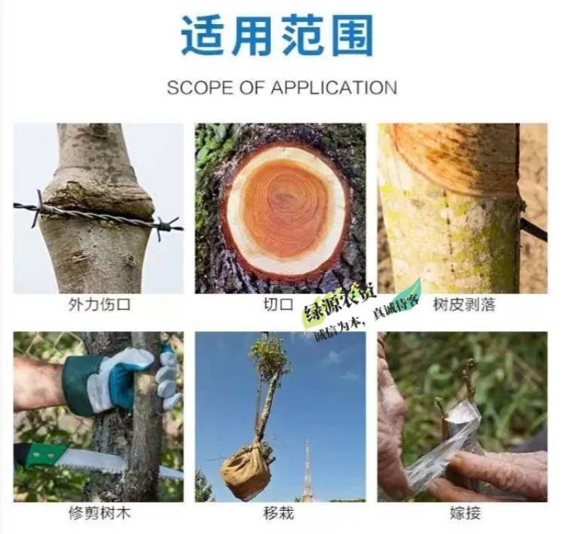 速贴3%甲基硫菌灵树木愈合剂剪锯口涂抹剂果树腐烂病