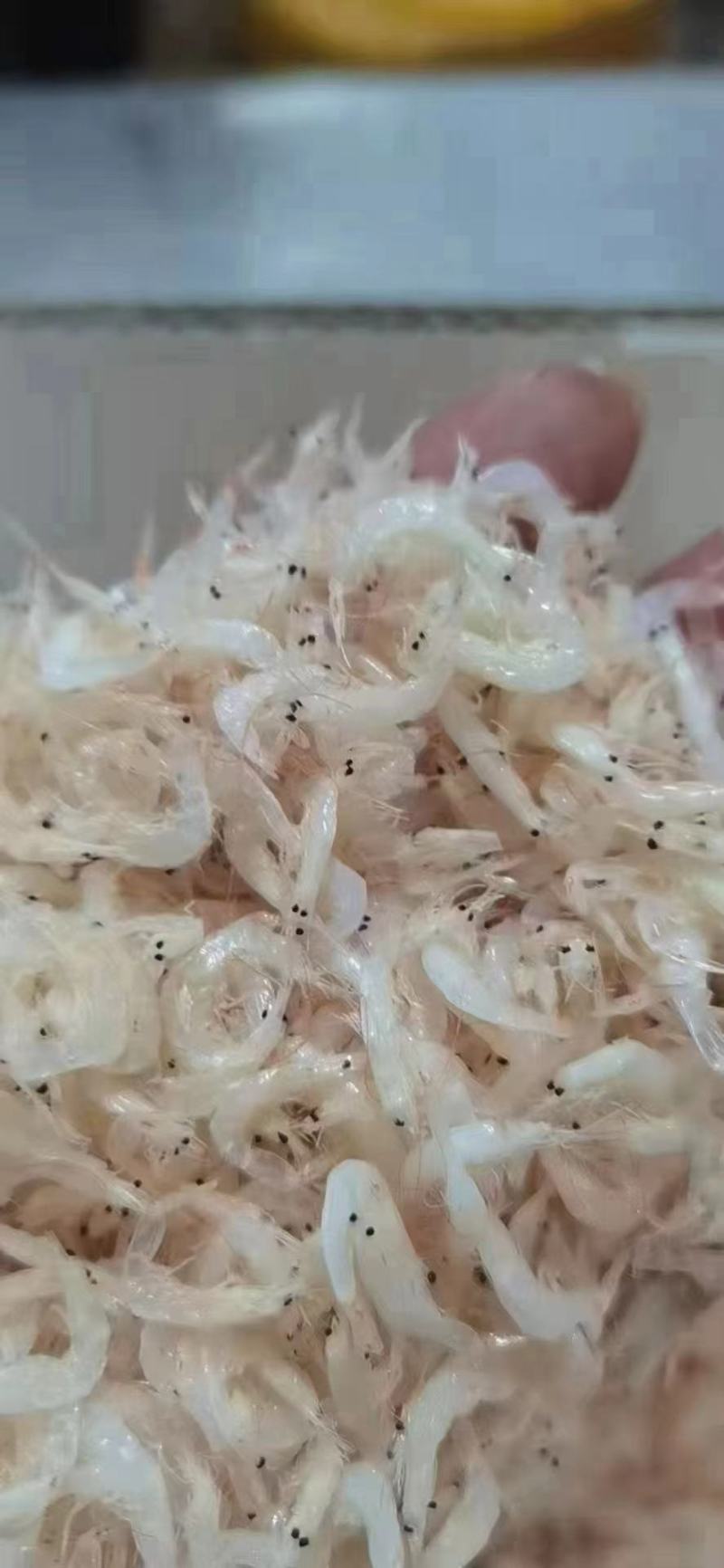 淡干虾皮10元模式淡干虾米虾仁厂家批发地摊跑江湖货源