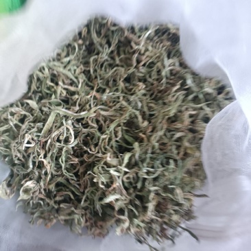 干豆角丝充分晾嗮纯绿色