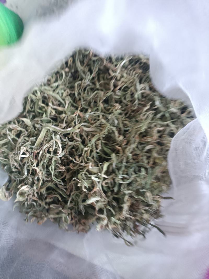干豆角丝充分晾嗮纯绿色