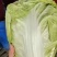 精品夏阳白菜，大白菜，产地，大量上市颜色好，供电商超市！