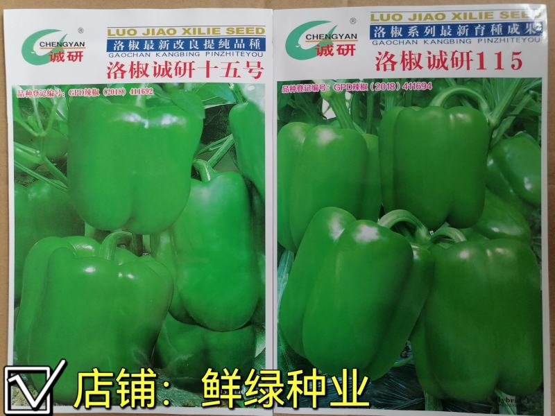 诚研十五，诚研115甜椒早熟灯笼型品种，果面光滑抗病丰产