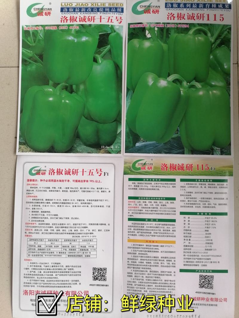 诚研十五，诚研115甜椒早熟灯笼型品种，果面光滑抗病丰产