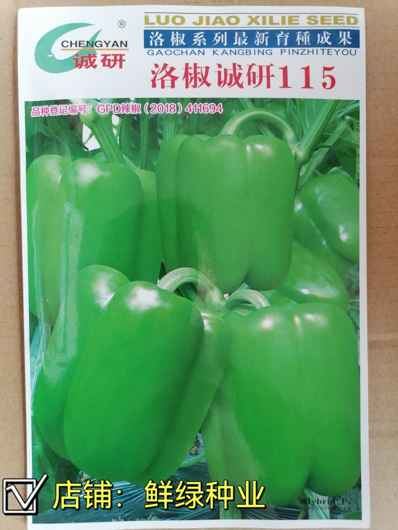 诚研十五，诚研115甜椒早熟灯笼型品种，果面光滑抗病丰产