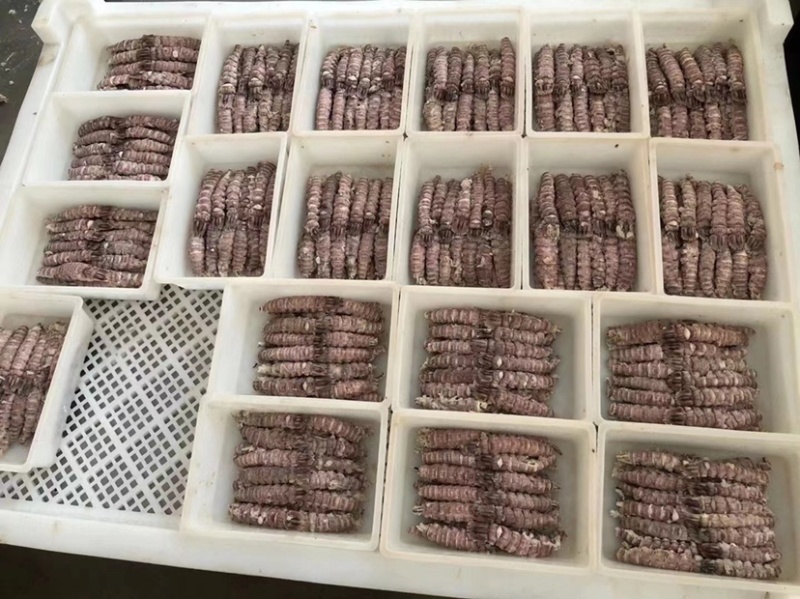 新货皮皮虾爬虾肉纯手工剥制。量大优惠