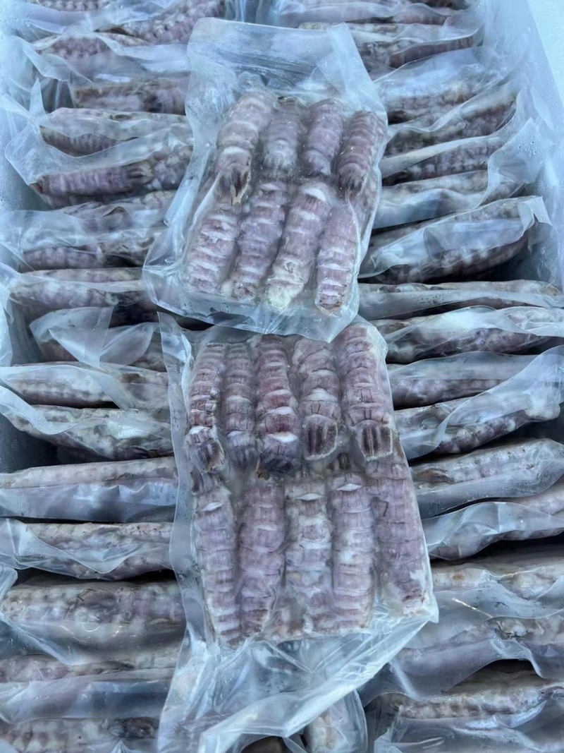 新货皮皮虾爬虾肉纯手工剥制。量大优惠