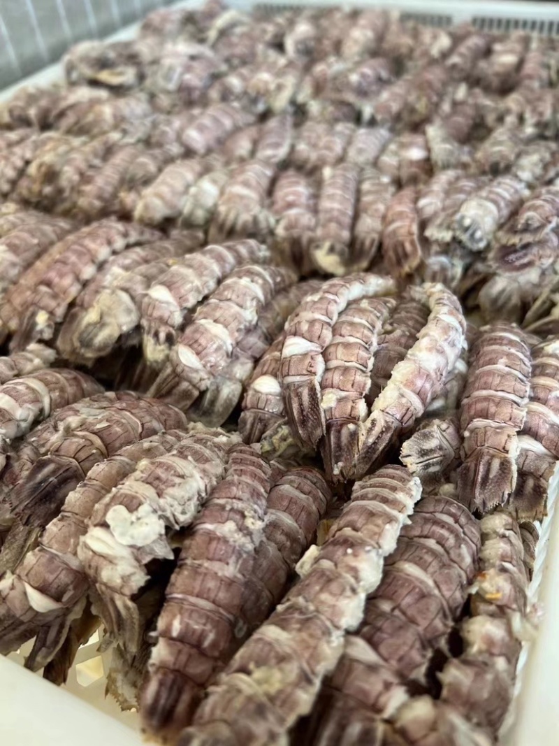 新货皮皮虾爬虾肉纯手工剥制。量大优惠