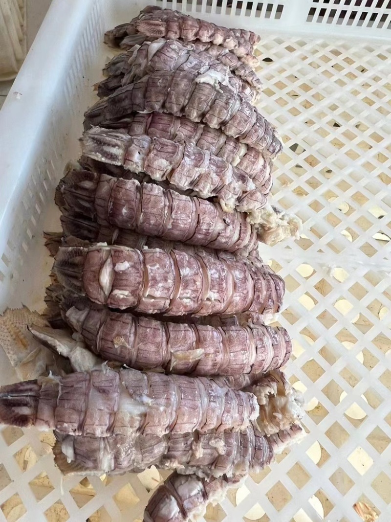 新货皮皮虾爬虾肉纯手工剥制。量大优惠