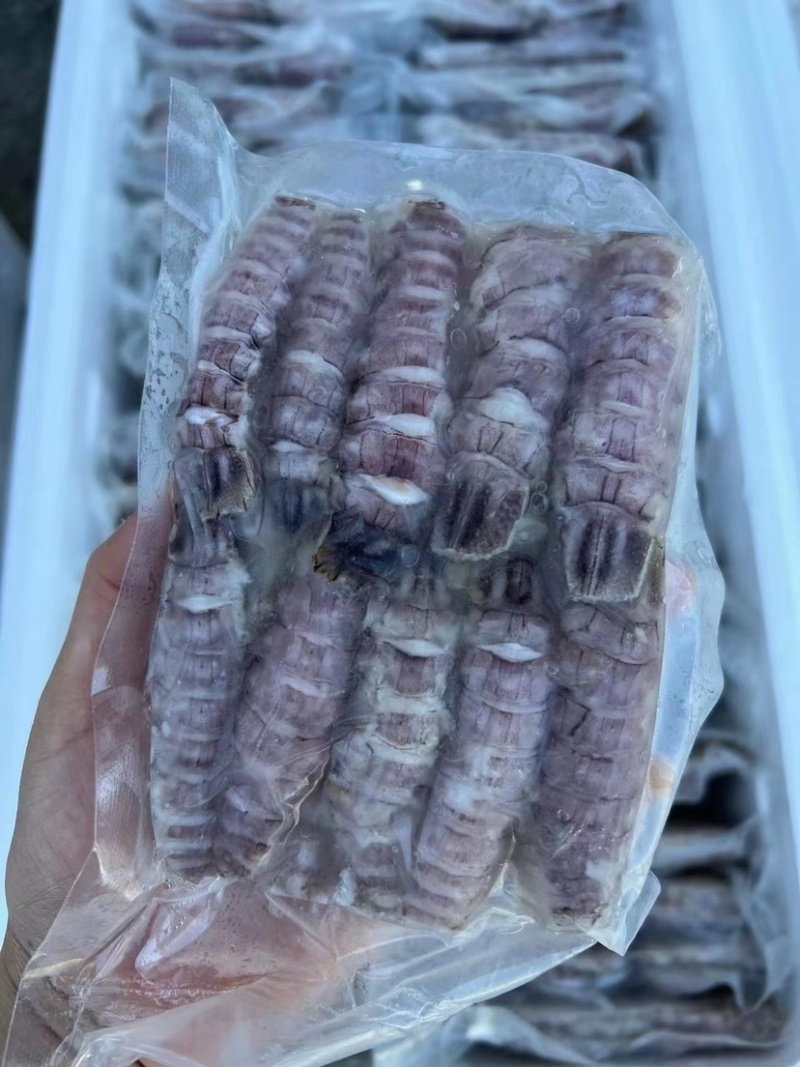 新货皮皮虾爬虾肉纯手工剥制。量大优惠