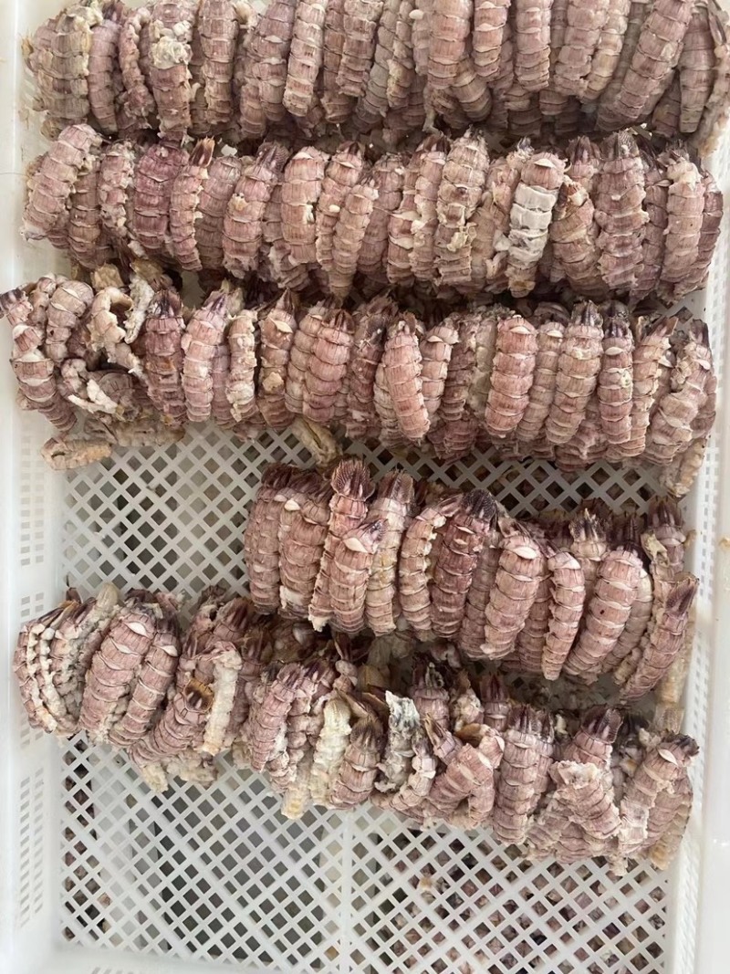 新货皮皮虾爬虾肉纯手工剥制。量大优惠
