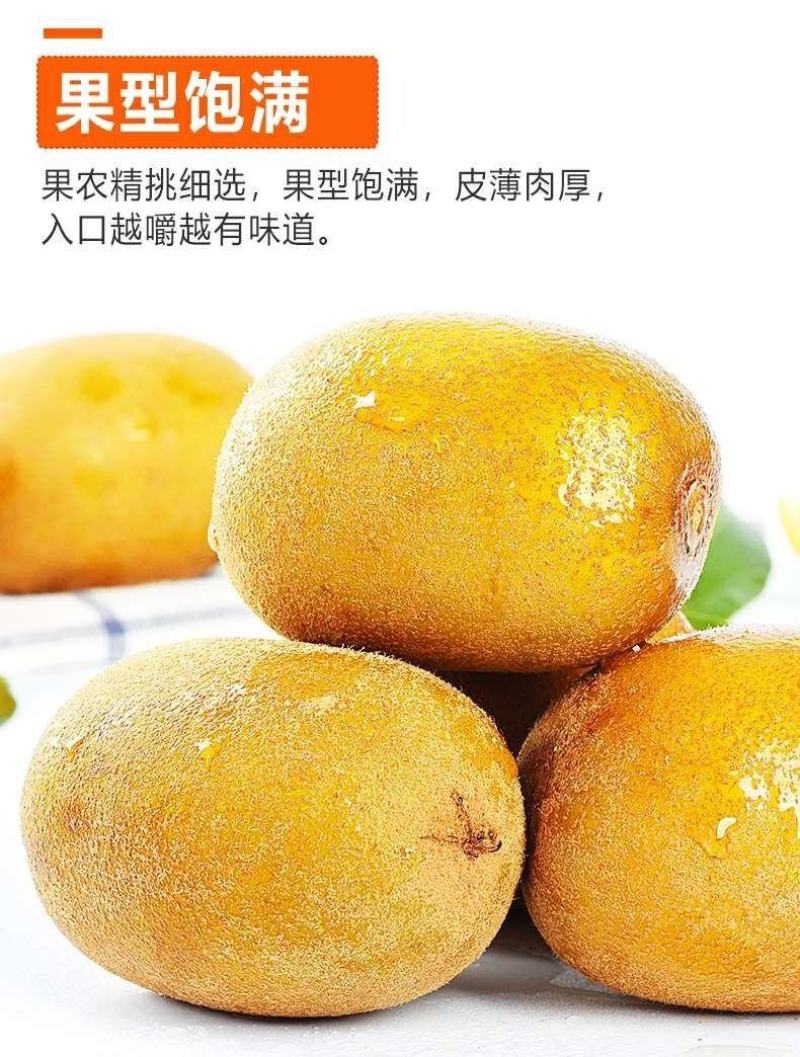 【一件代发】河南西峡黄心猕猴桃/产地源头代发包邮包赔