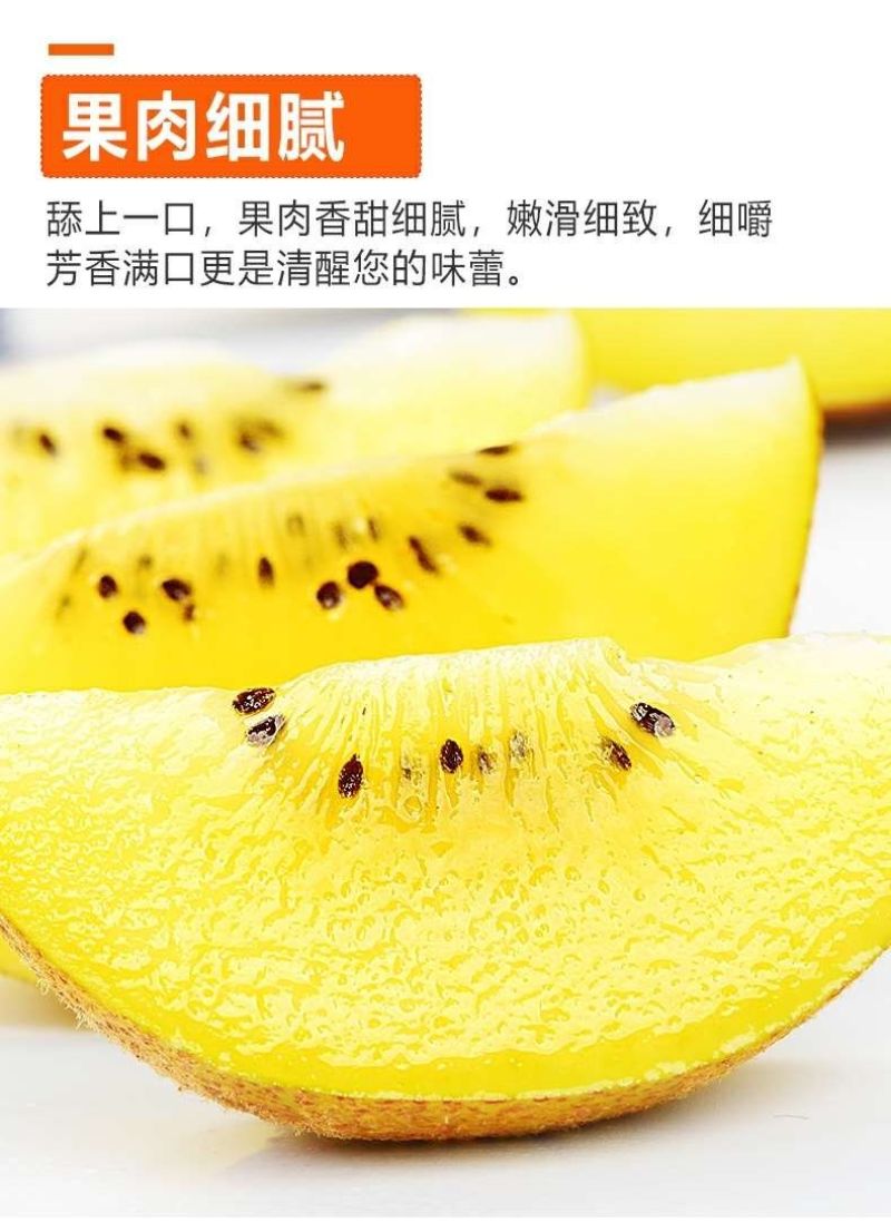 【一件代发】河南西峡黄心猕猴桃/产地源头代发包邮包赔