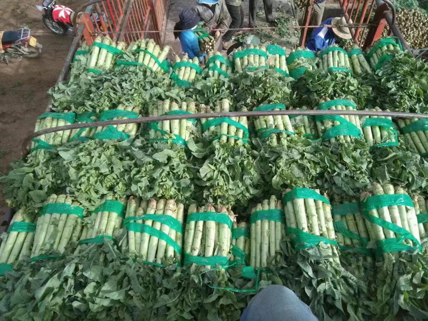 超市货架上的莴笋陈列场景