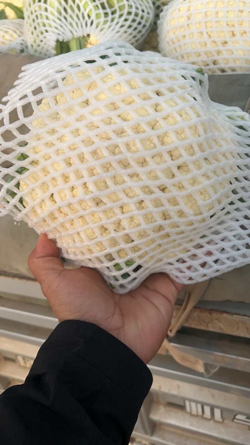 本地精品有机花大量上市，品质好价格合理有需要的联系我