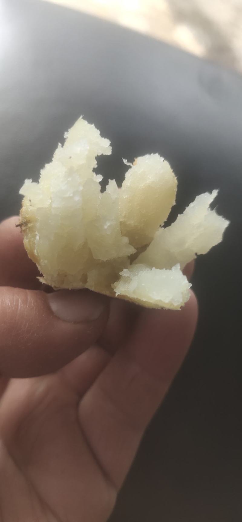 板栗香味甜的人参地瓜