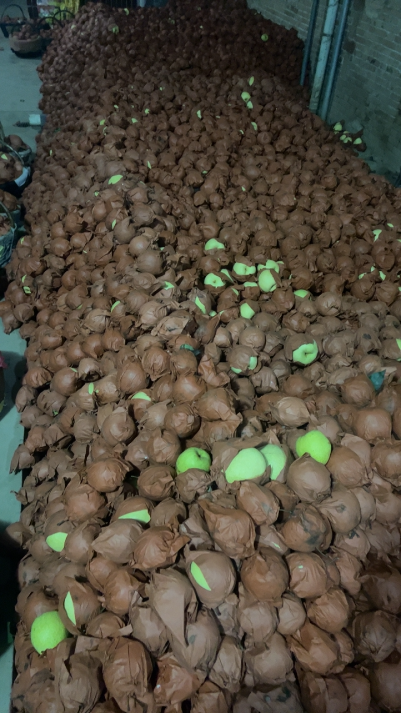 自己种植无中间赚差价