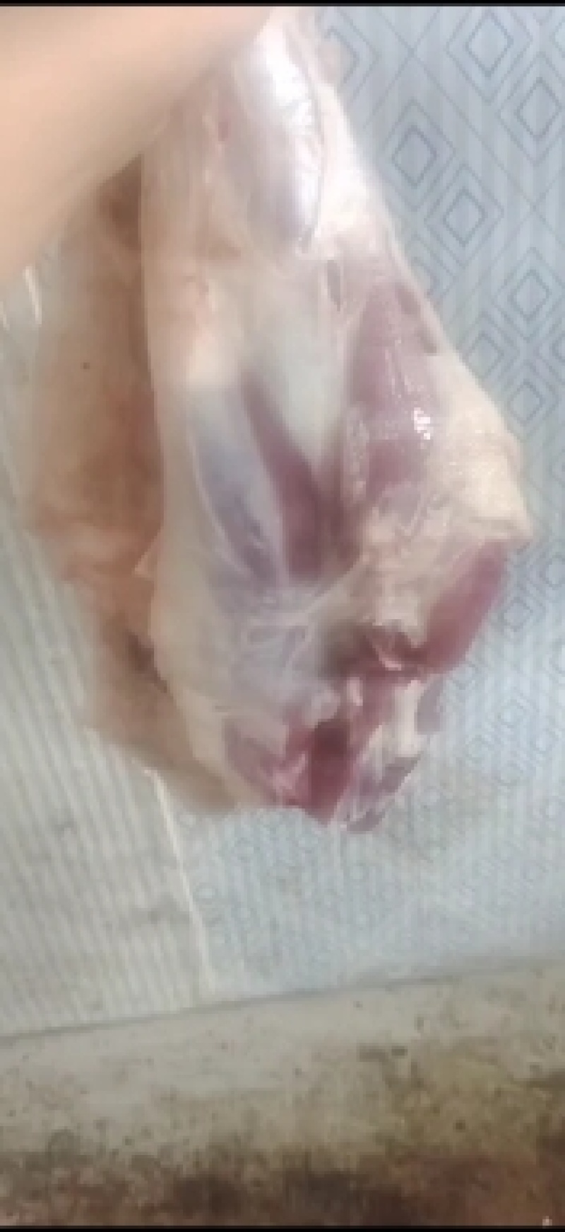 羊副产品