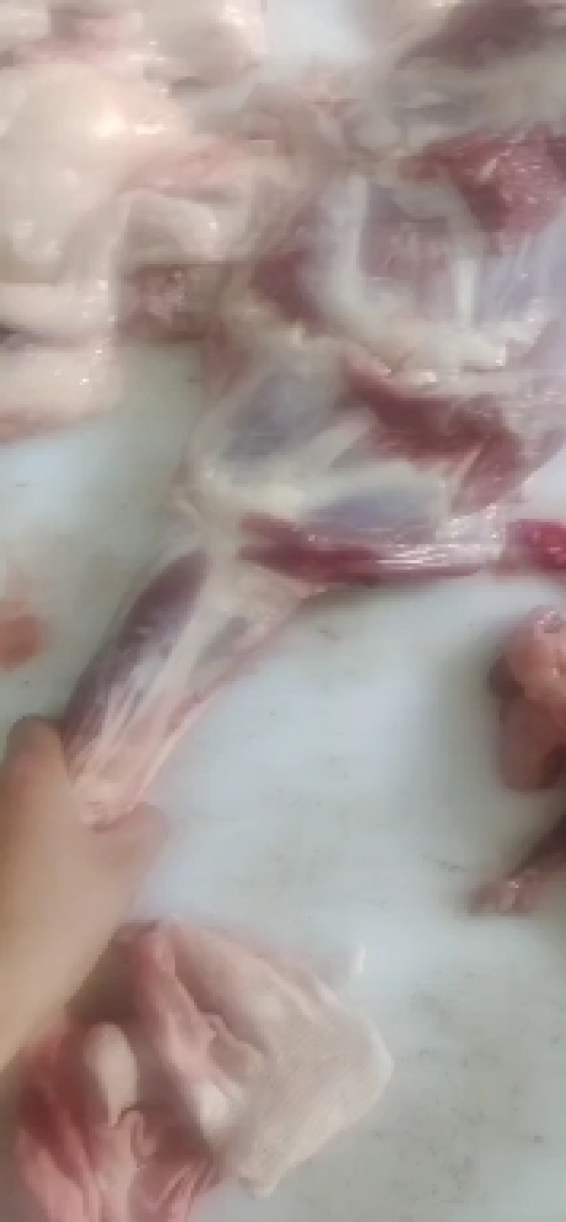 羊副产品