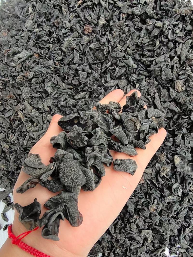 黑木耳小木耳原产地跑江湖批发地摊