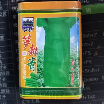 笋都青莴笋种子青皮绿肉香莴笋种子高产耐热耐寒春秋冬播蔬菜