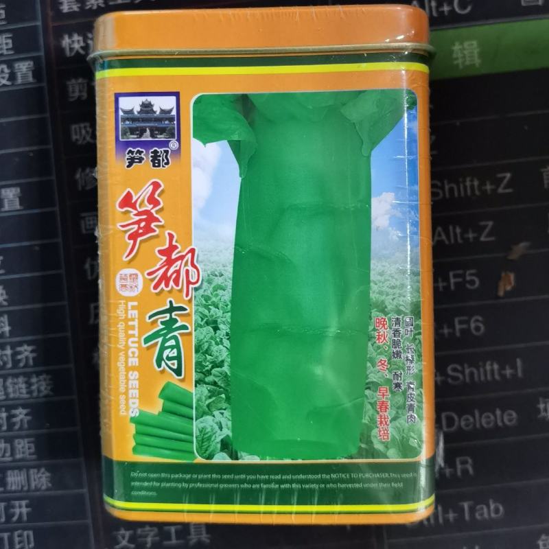 笋都青莴笋种子青皮绿肉香莴笋种子高产耐热耐寒春秋冬播蔬菜