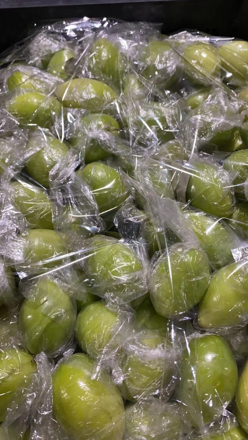 广西平南县东华大青枣，爽脆清甜，市场平台货，套袋