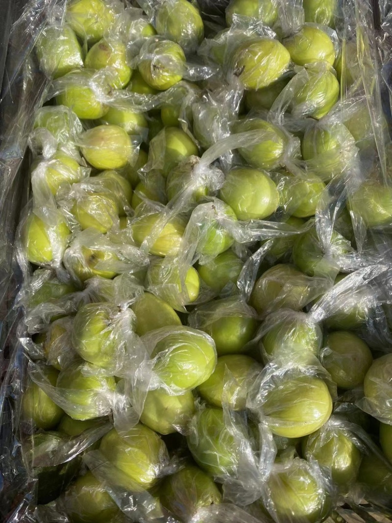 广西平南县东华大青枣，爽脆清甜，市场平台货，套袋