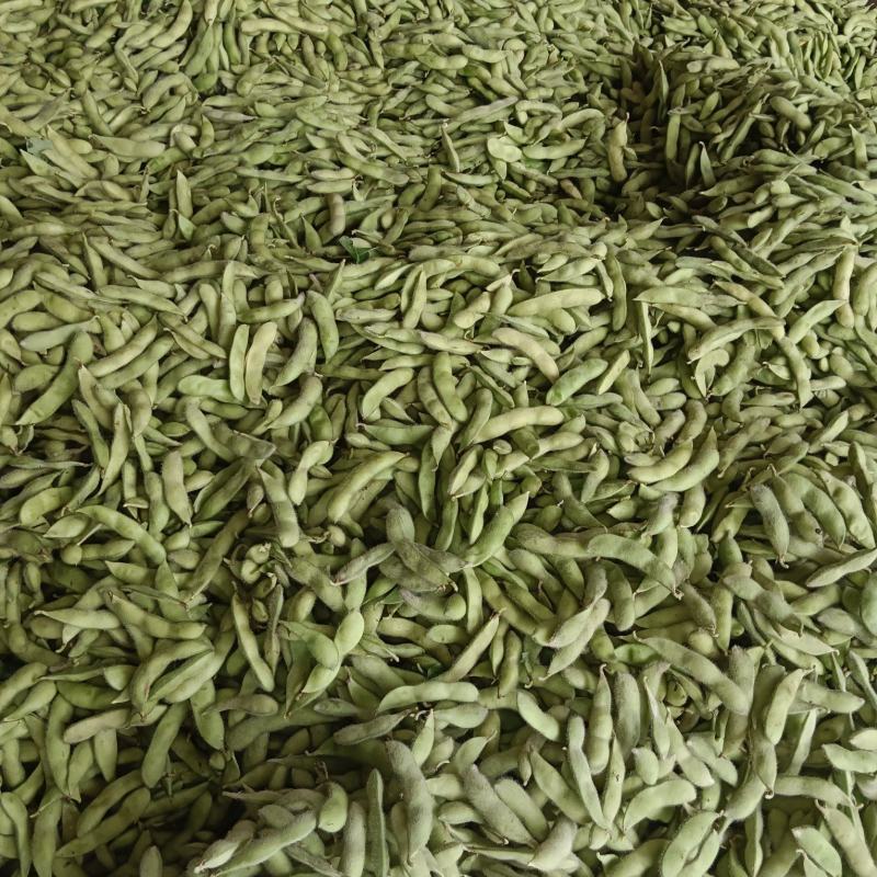 毛豆:打米豆