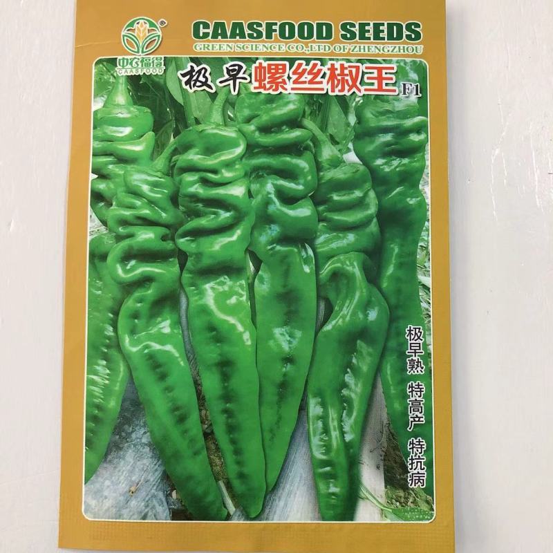 早熟螺丝椒种子高产香辣螺丝椒种子大果实精品蔬菜种籽