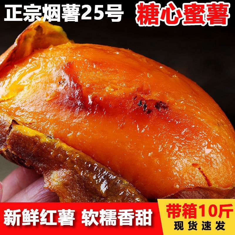 烟薯大头蜜薯专业烤薯店专业蜜薯香甜无筋流油烟薯25