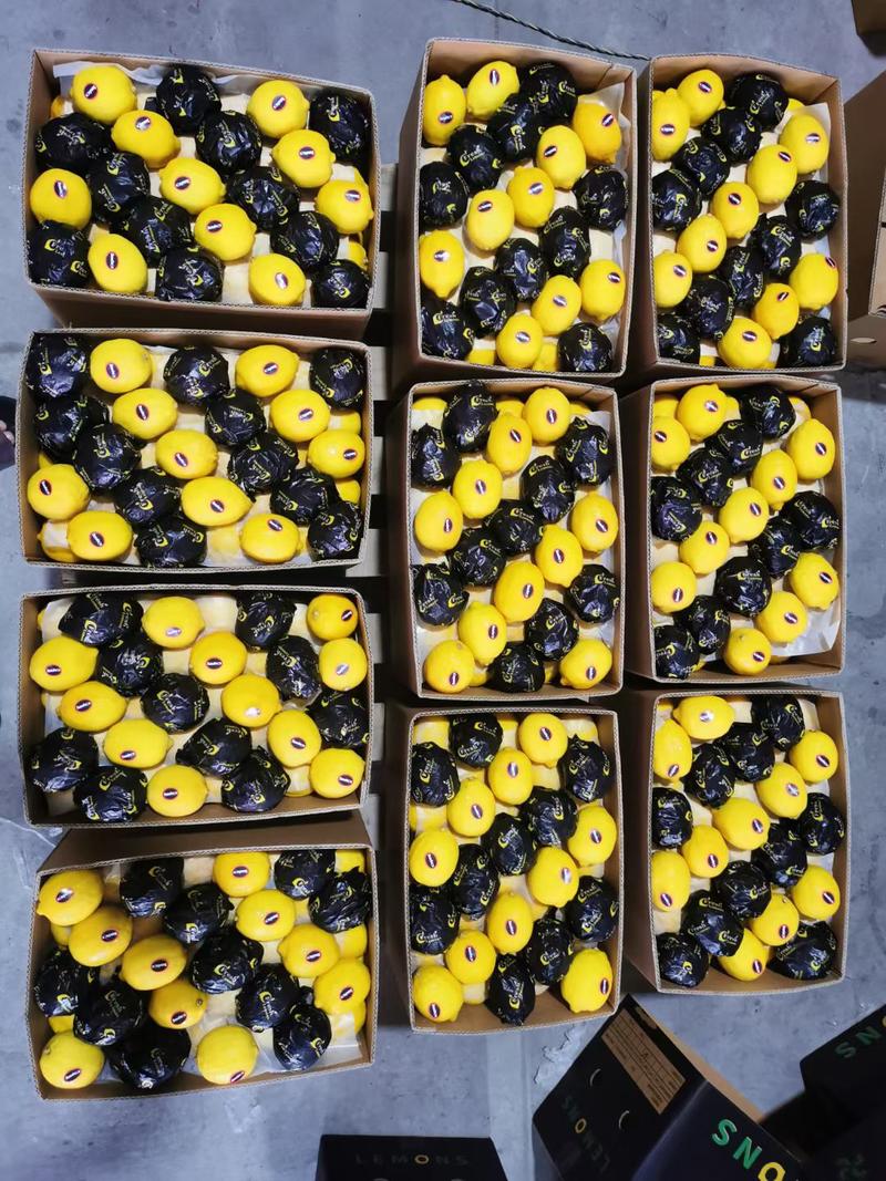 安岳尤力克黄柠檬老果大量供应一手货源规格齐全批发零售包邮