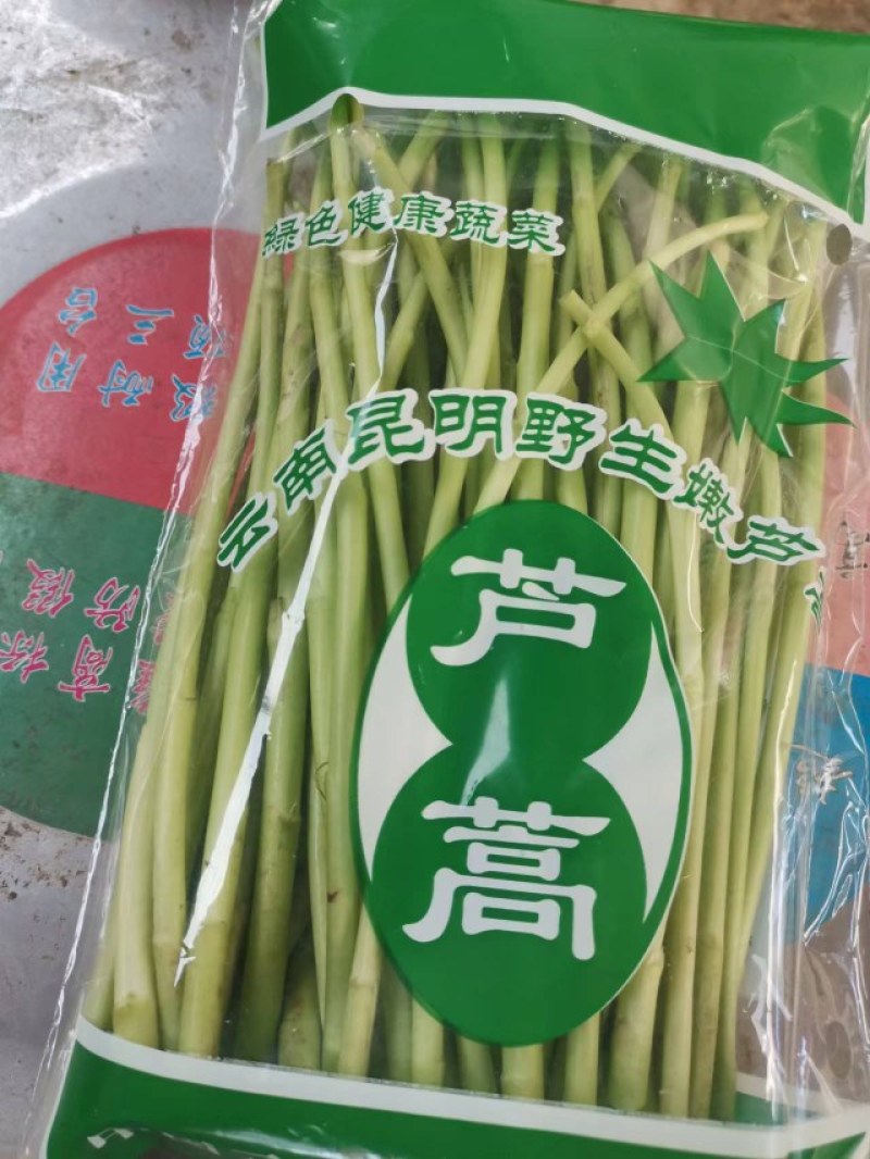 云南芦蒿