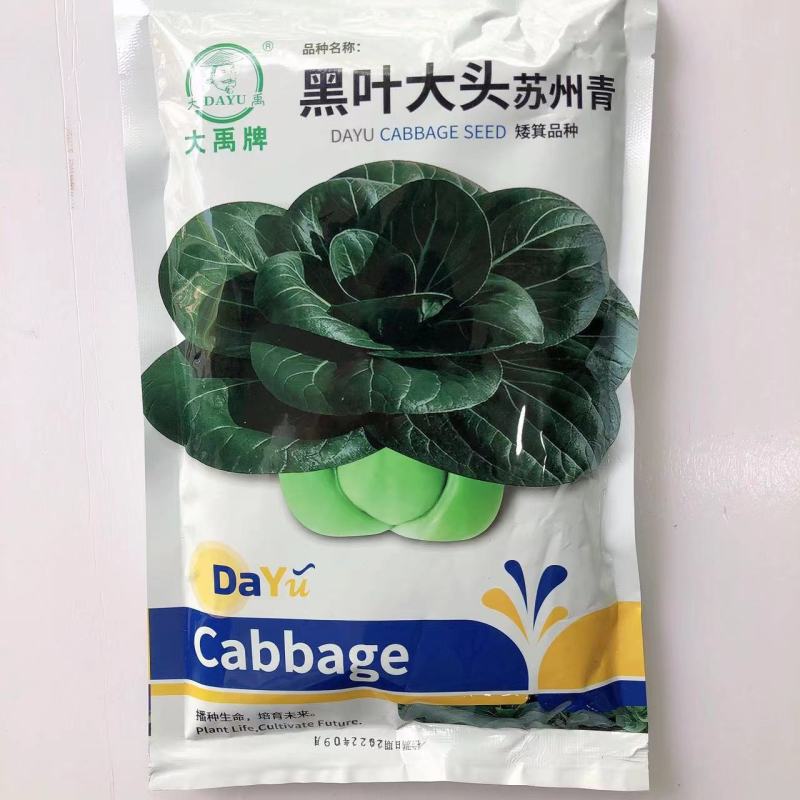 苏州青种子黑大头矮脚高产早熟青梗菜小青菜耐寒油菜蔬菜种子