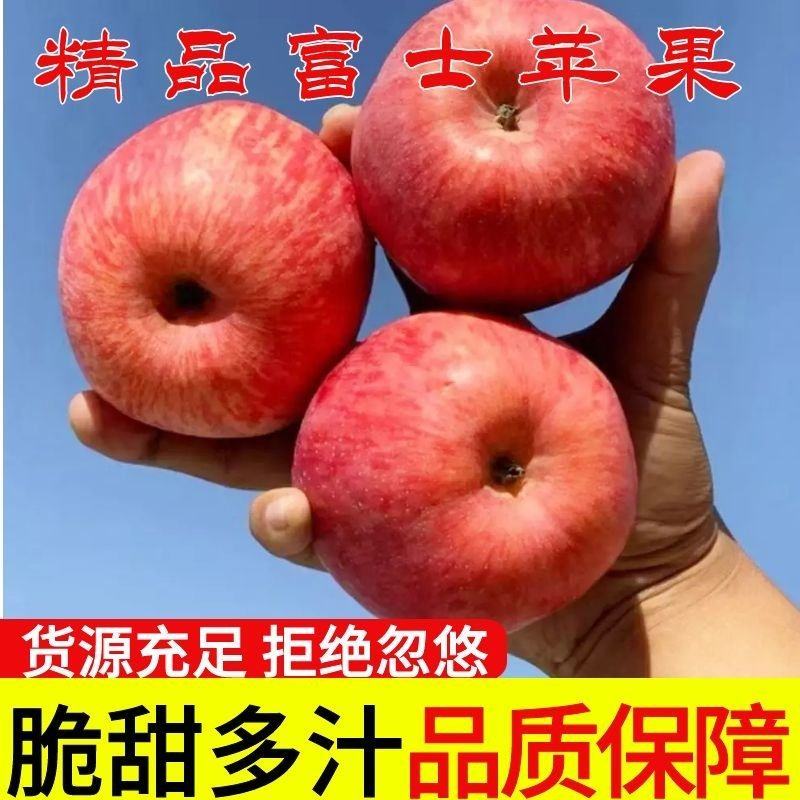 山东红富士苹果产地直发对接商超赶集电商保品质