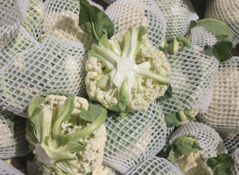 湖北菜花精品松花菜大量上市中产地直供量大从优欢迎联
