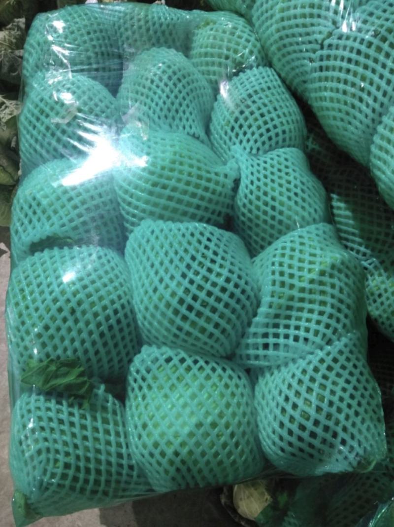 湖北省天门市有机花菜大量上市中需要的老板联系望长期合作。